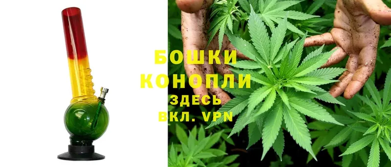 Бошки Шишки LSD WEED  Дубна 